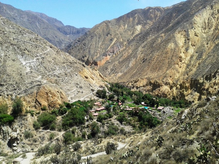 Colca-Canyon-Ellis-Backpack-Adventures-Best-Hiking-in-Peru
